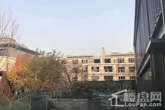 金辉中央云著实景图