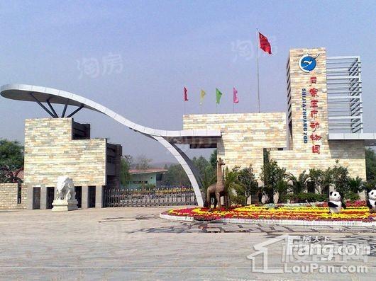 石家庄·桃李春风配套图