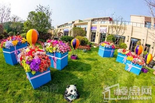 碧桂园·翡翠华府实景图