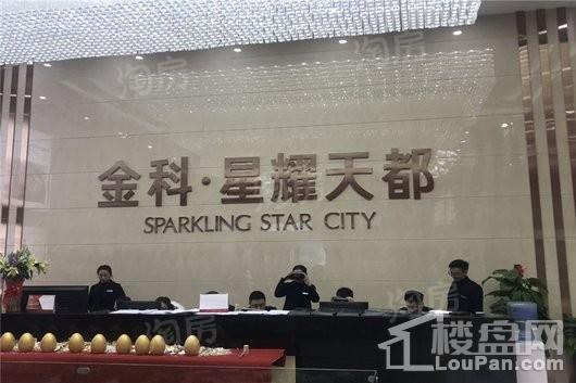 金科·星耀天都实景图