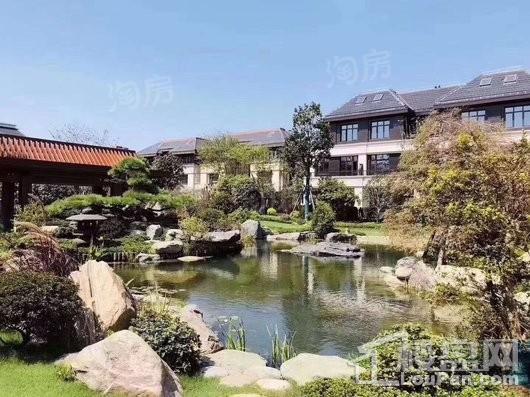天和尚海庭前实景图
