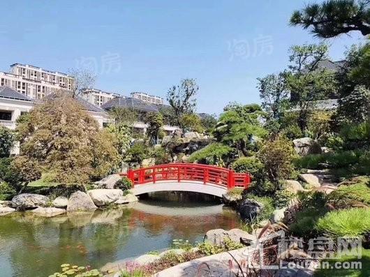 天和尚海庭前实景图