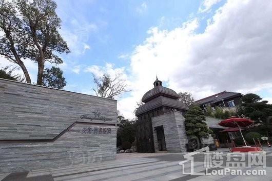 天和尚海庭前实景图