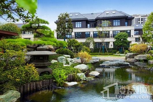 天和尚海庭前实景图