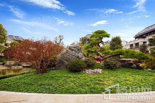 天和尚海庭前实景图
