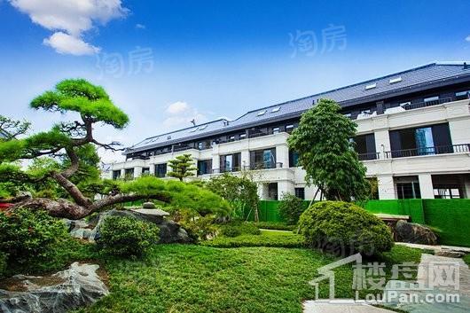 天和尚海庭前实景图