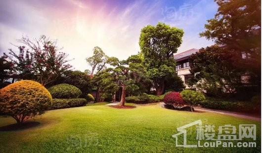 天和尚海庭前效果图