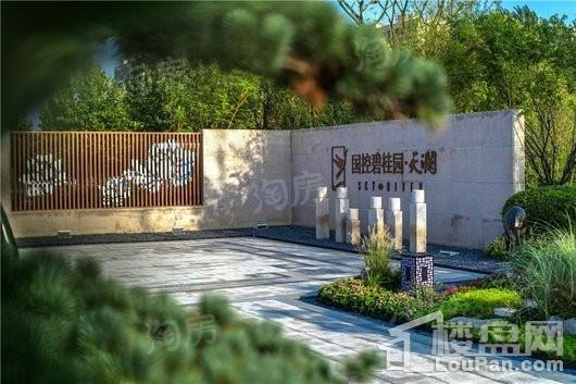 国控碧桂园天澜实景图