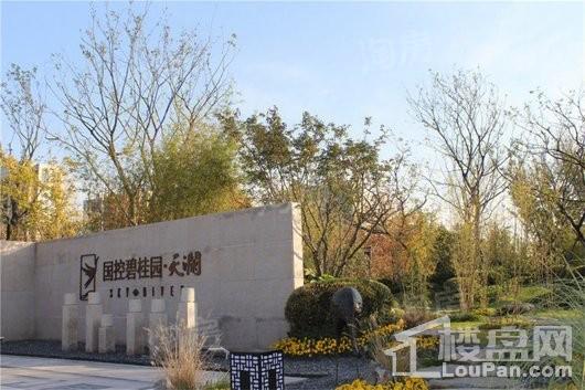 国控碧桂园天澜实景图