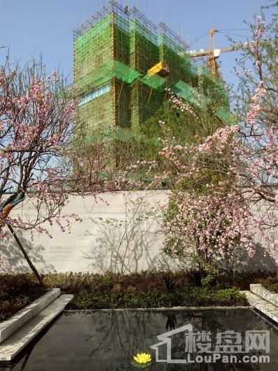 祥源·玖悦湾实景图