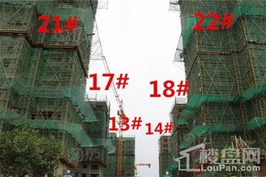 金科·海昱东方实景图