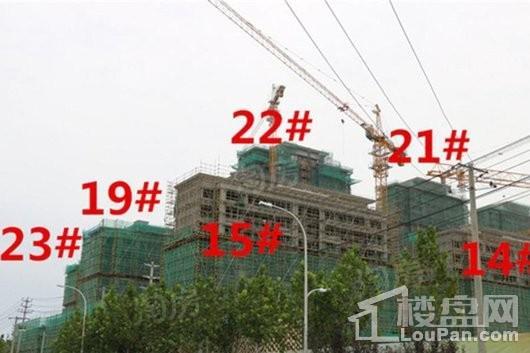 金科·海昱东方实景图