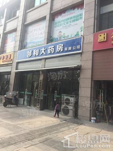 合肥唐宁府配套图