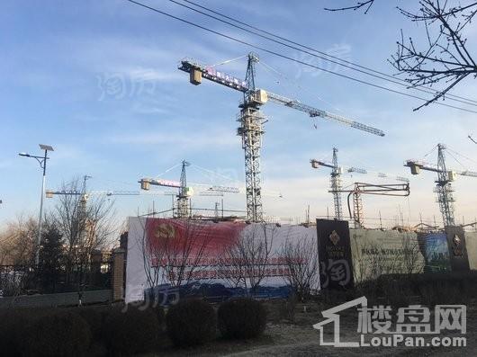 新大普罗旺斯实景图
