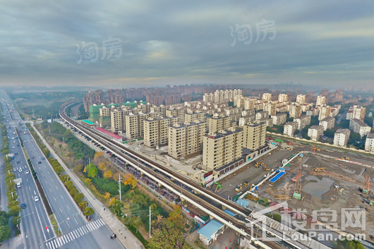 实景图
