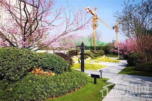 金科天籁城实景图
