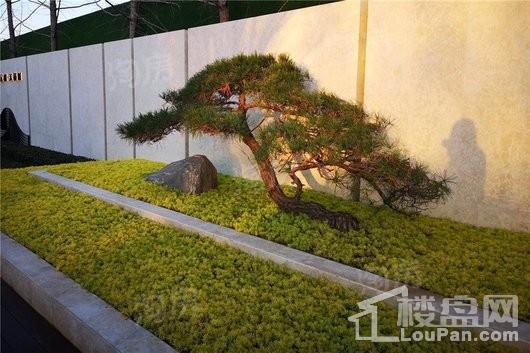 金科天籁城实景图
