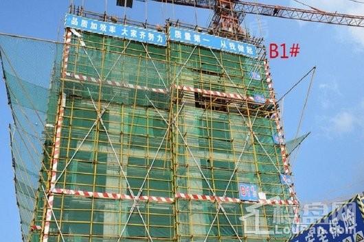 保利罗兰香谷实景图