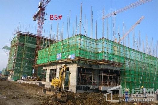 保利罗兰香谷实景图