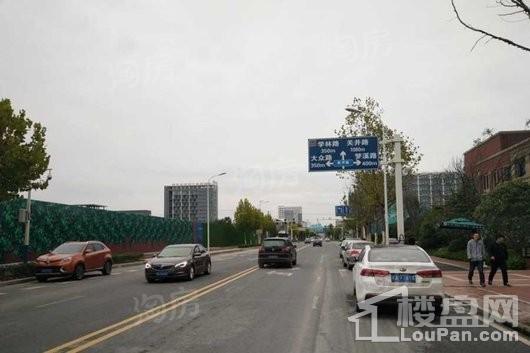 保利罗兰香谷实景图