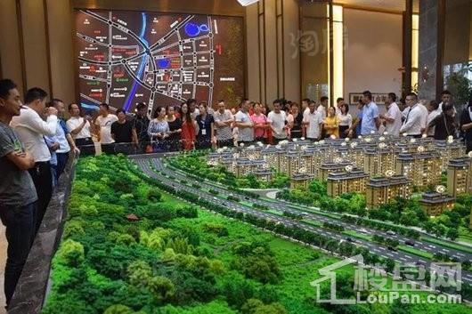 华盛江山御府实景图