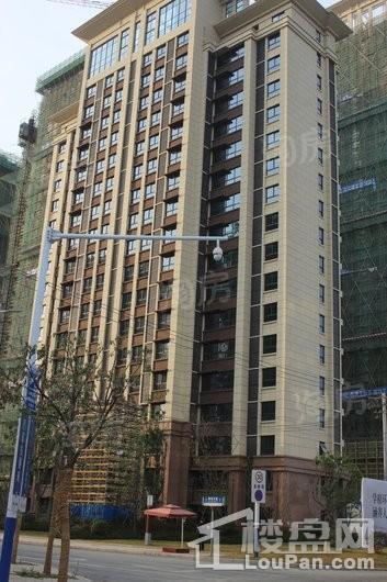 淮矿万振东方樾府实景图
