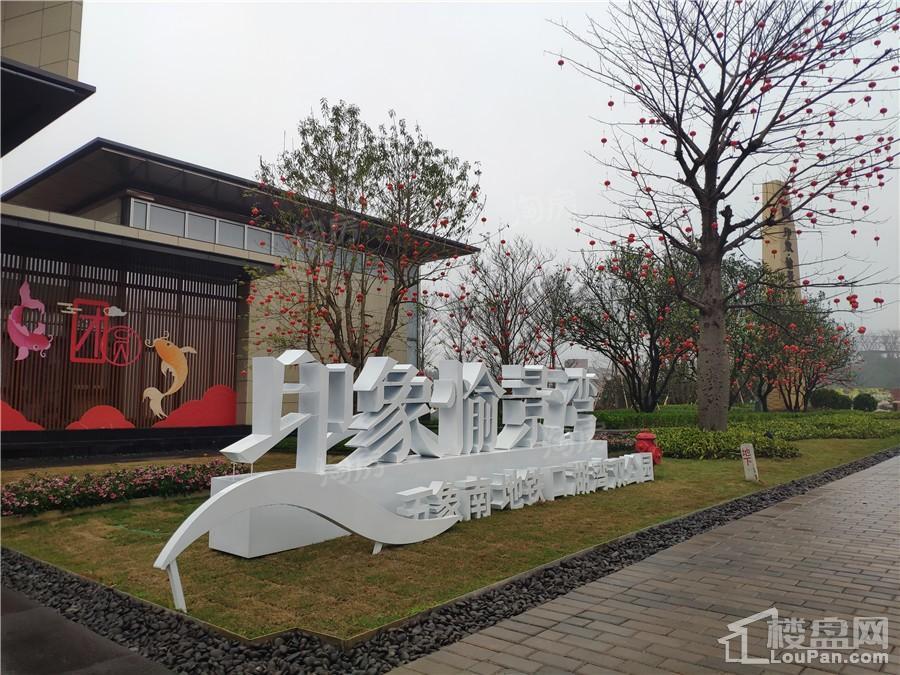 印象愉景湾实景图