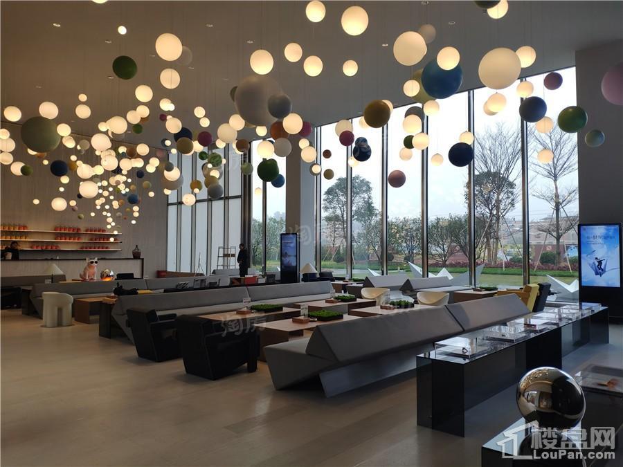 印象愉景湾实景图