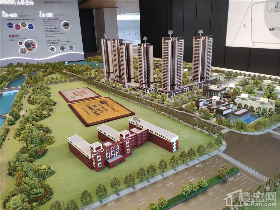 印象愉景湾实景图