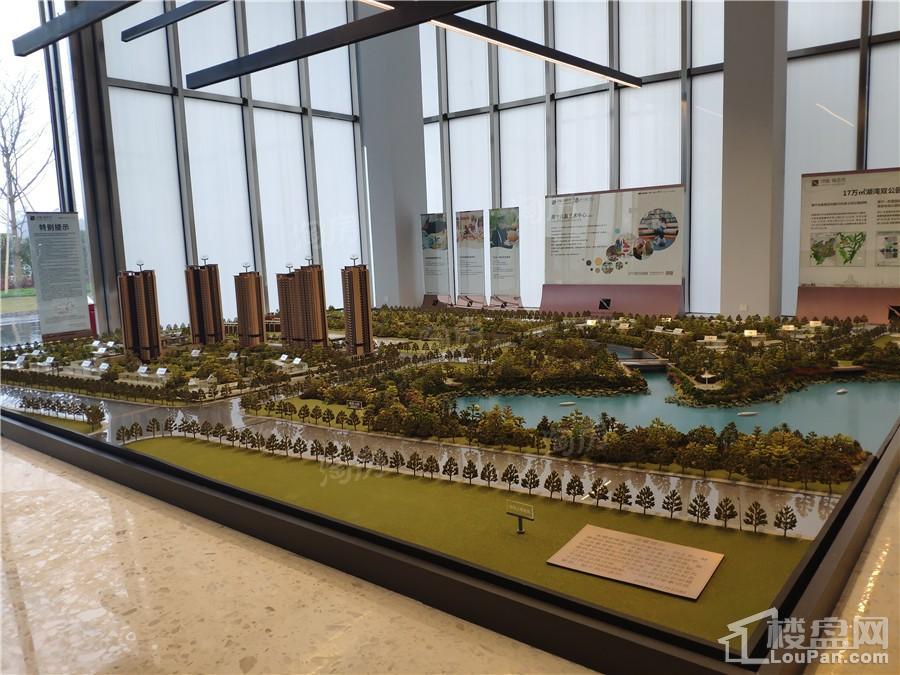 印象愉景湾实景图