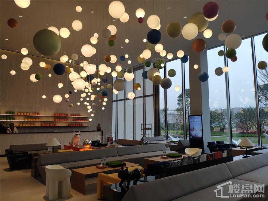 印象愉景湾实景图