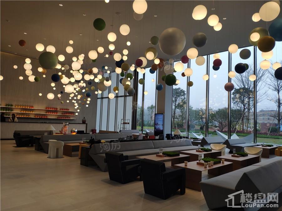 印象愉景湾实景图