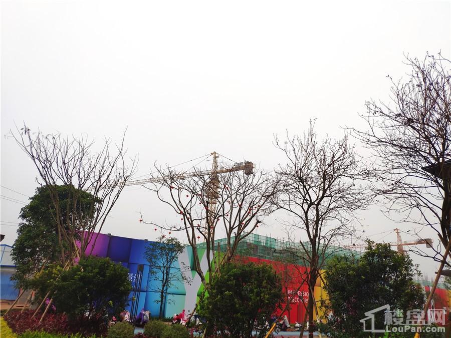 印象愉景湾实景图