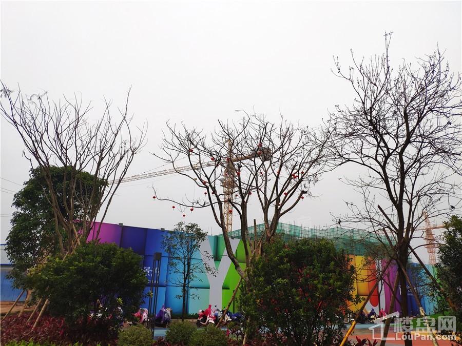 印象愉景湾实景图