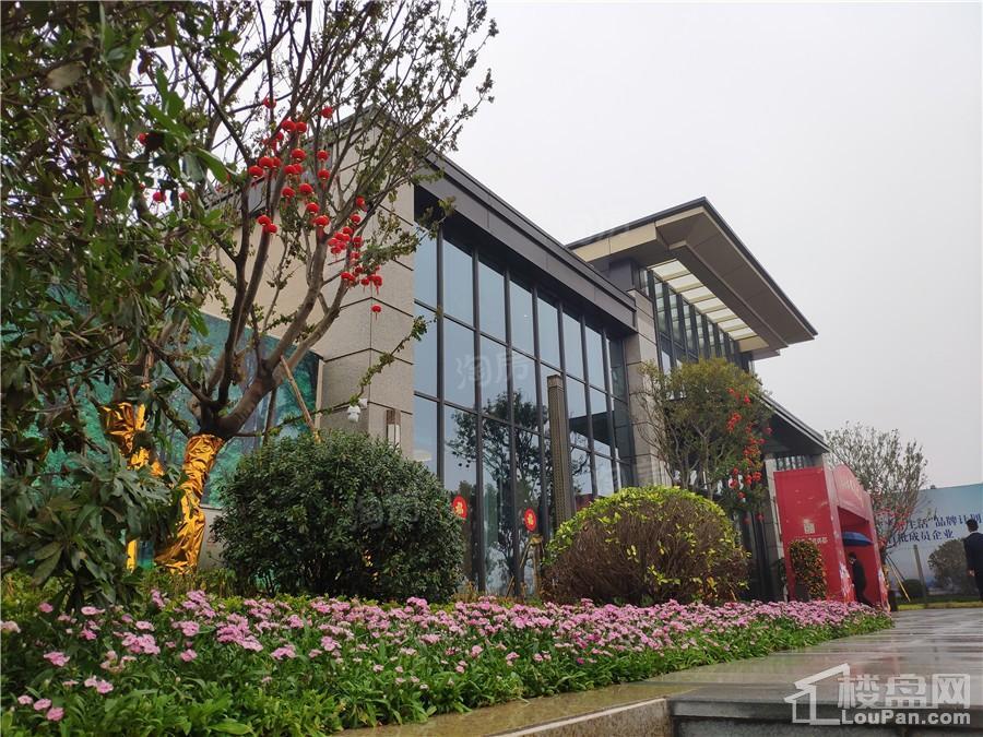 龙光玖珑郡实景图