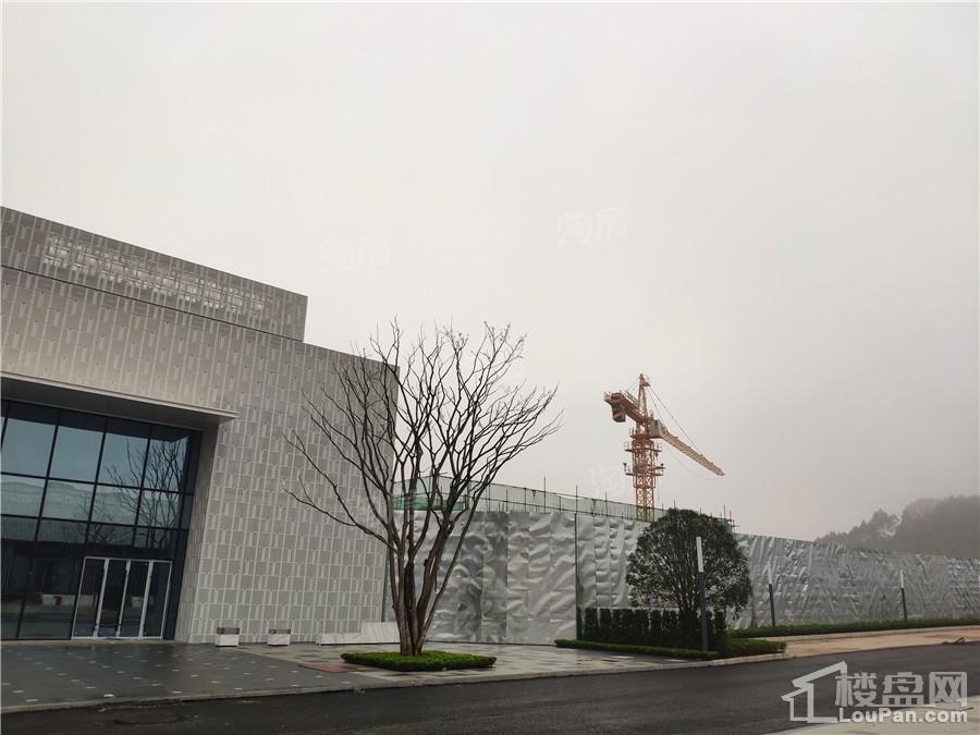 万科星都荟实景图