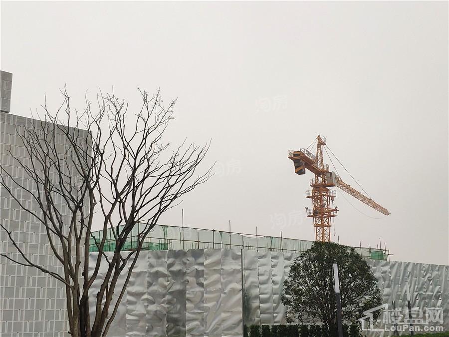 万科星都荟实景图