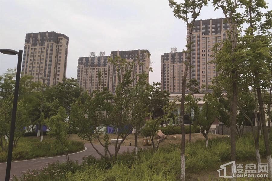 万锦红树湾实景图