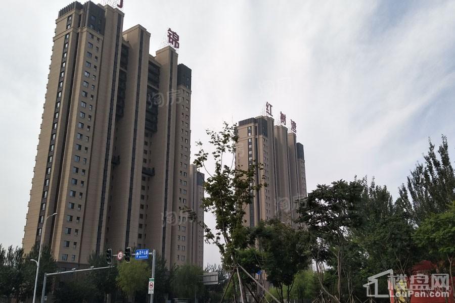 万锦红树湾实景图