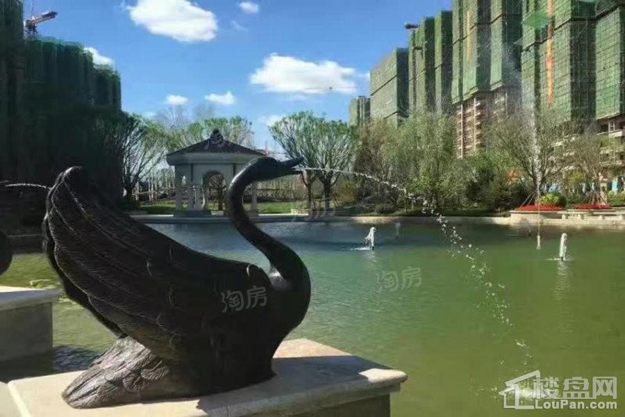 恒大滨江左岸实景图