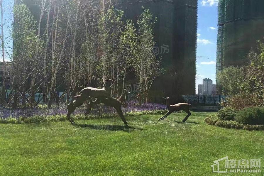 恒大滨江左岸实景图
