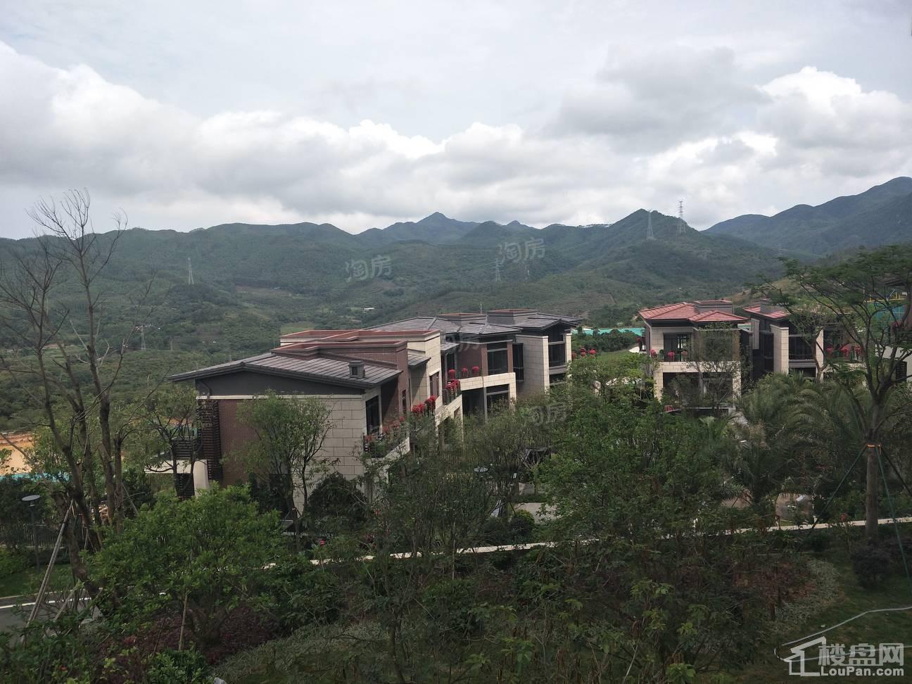 实景图