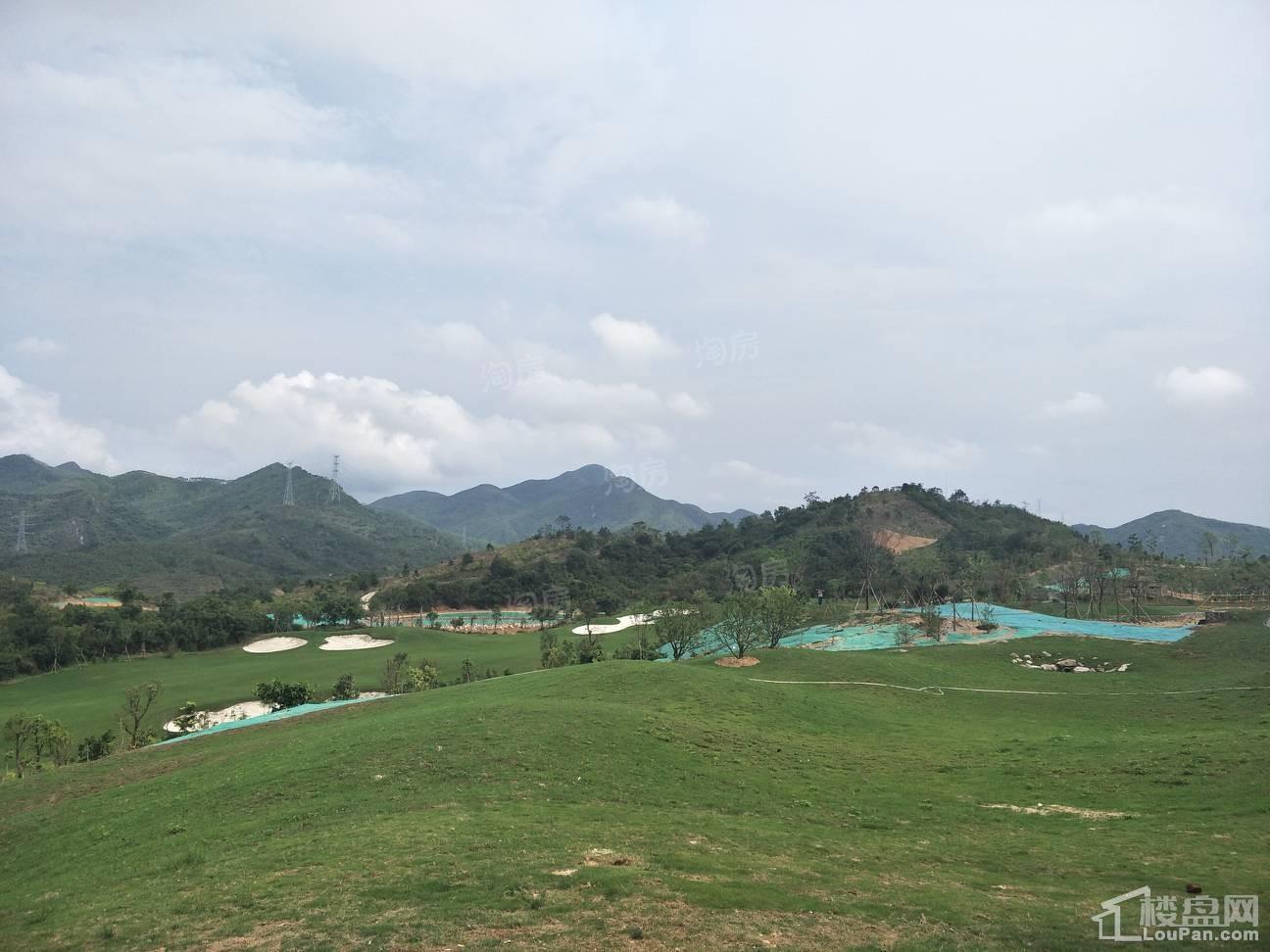 星河山海半岛实景图