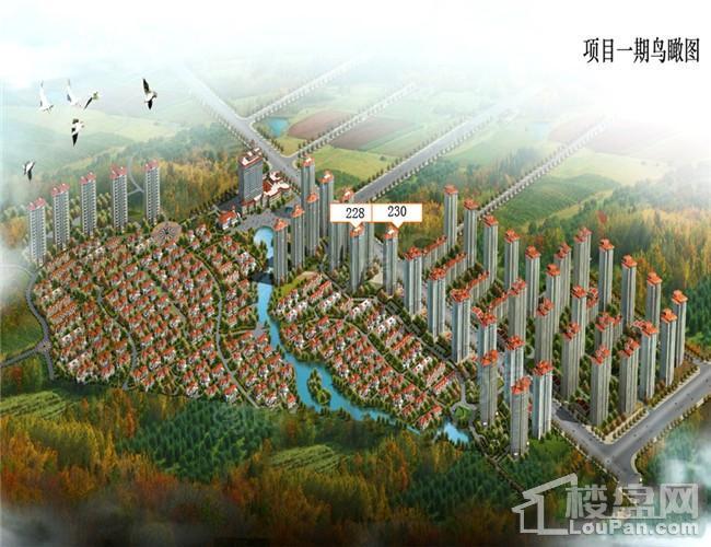 碧桂园九英里效果图