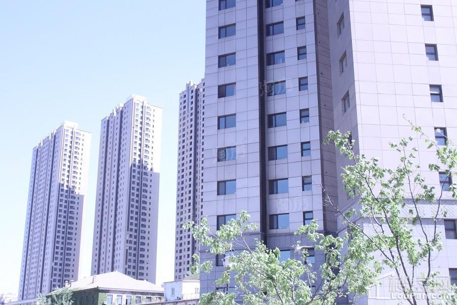 龙之梦畅园实景图