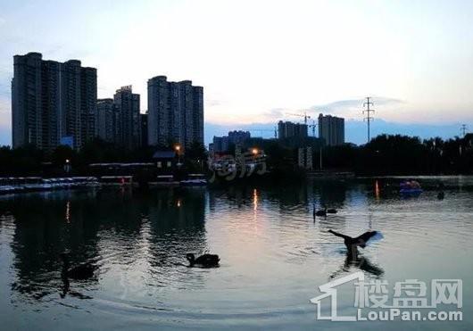 蜀青丽晶府配套图