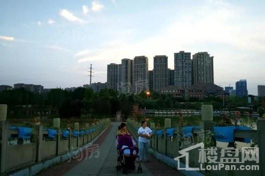 蜀青丽晶府配套图
