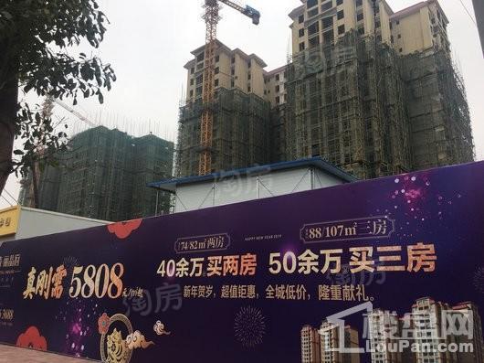 蜀青丽晶府实景图