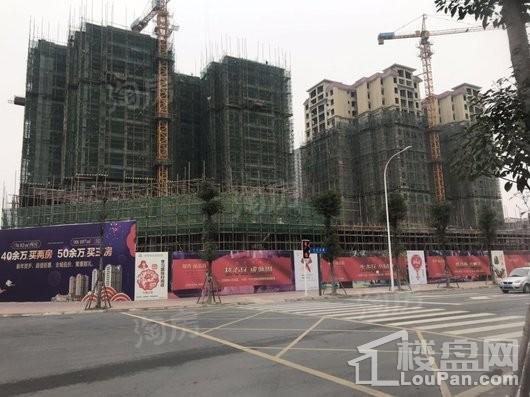 蜀青丽晶府实景图