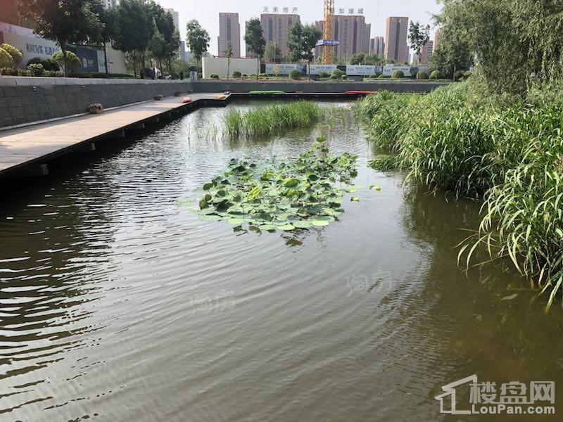 和泓长白府实景图